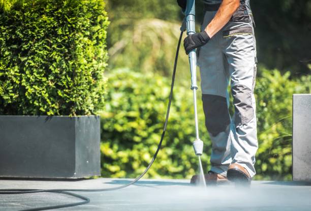 Best Gutter Cleaning  in Kurtistown, HI