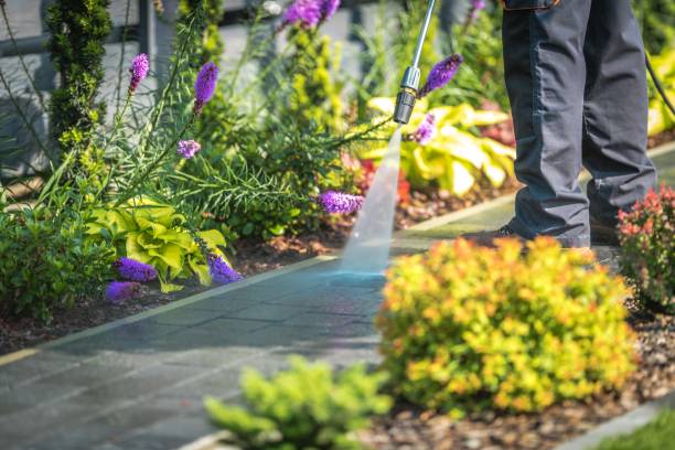 Professional Pressure Washing Services in Kurtistown, HI