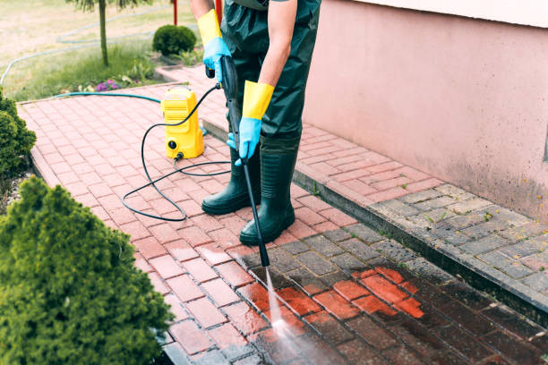 Best Factory Floor Cleaning  in Kurtistown, HI